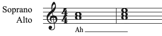 assess-and-player-elements